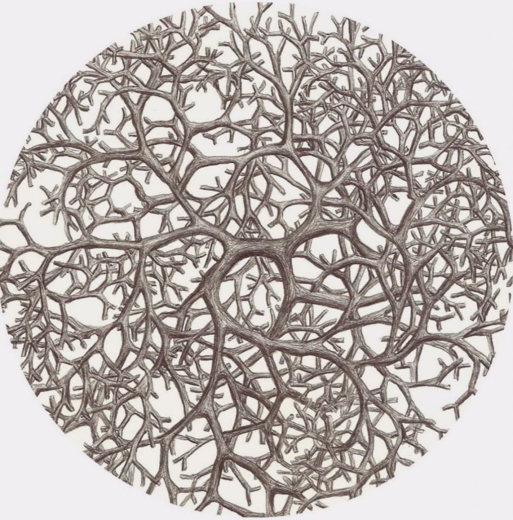 Edt. – Associação de Profissionais de Edição Audiovisual